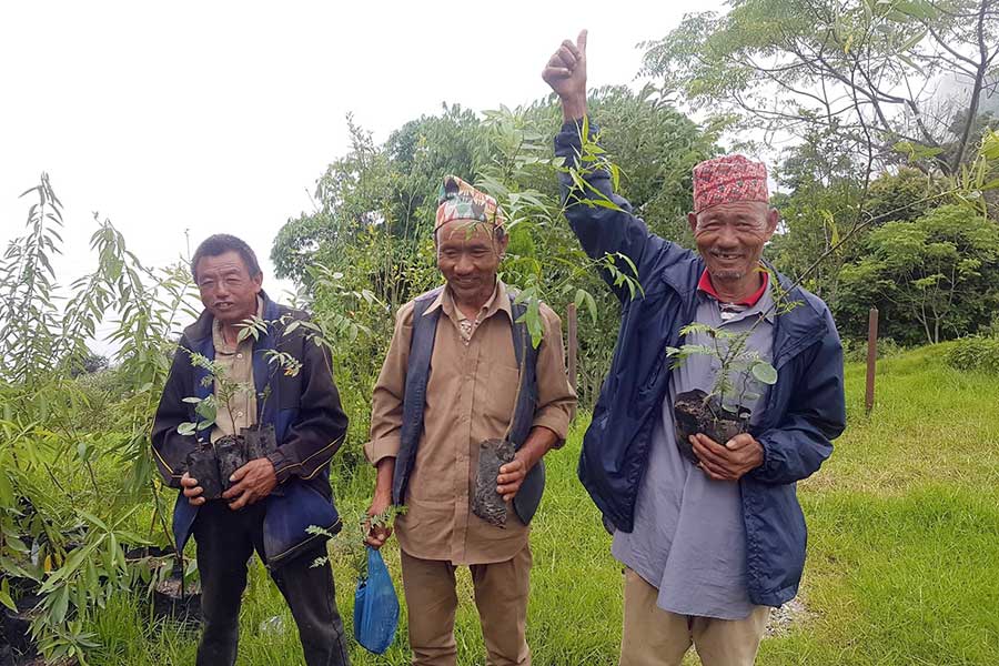 Agroforstwirtschaft – Kaule e.V., Nepal