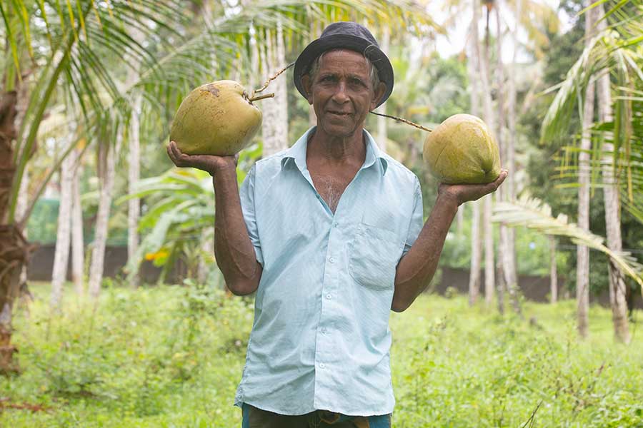 Fairer HAND IN HAND Kokosmilch aus Sri Lanka