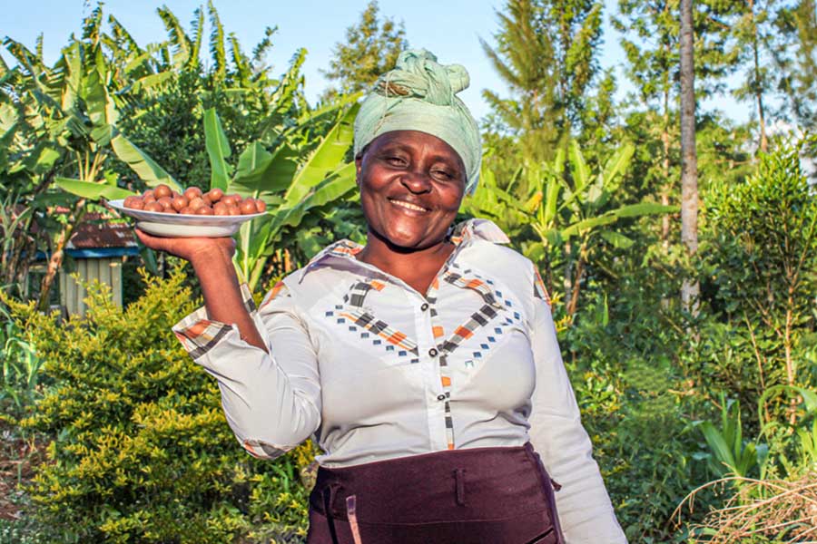 Faire HAND IN HAND Macadamia Kerne aus Kenia