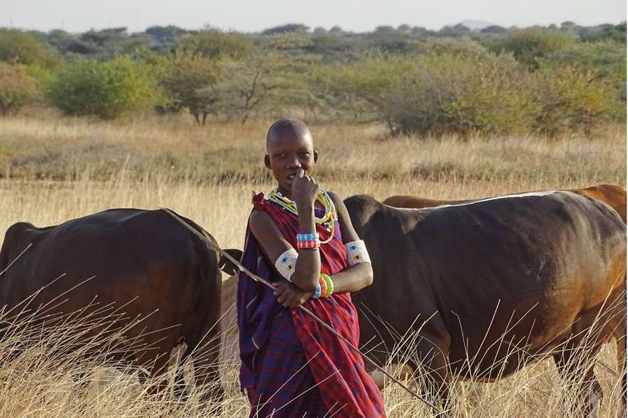 Mensch-Wildtier-Konflikt – African Wildlife Foundation, Tansania