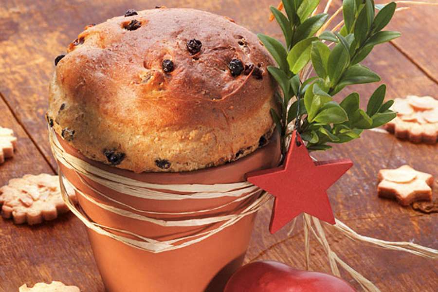 Panettone -Italienische Spezialität