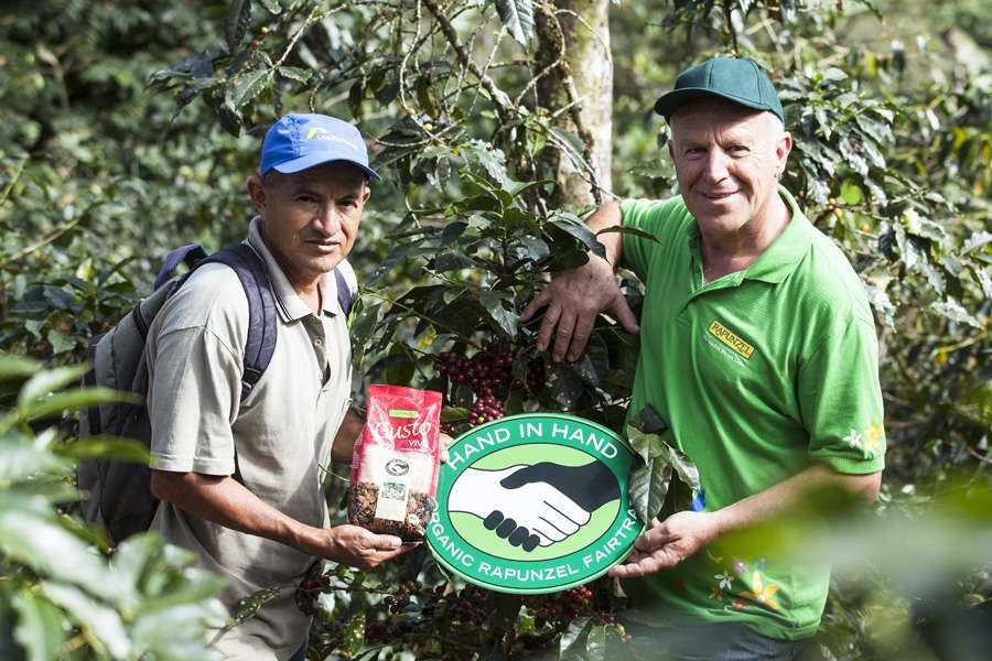 Bäuerin beim Pflücken von Kaffeekirschen Bäuerin beim Pflücken von Kaffeekirschen