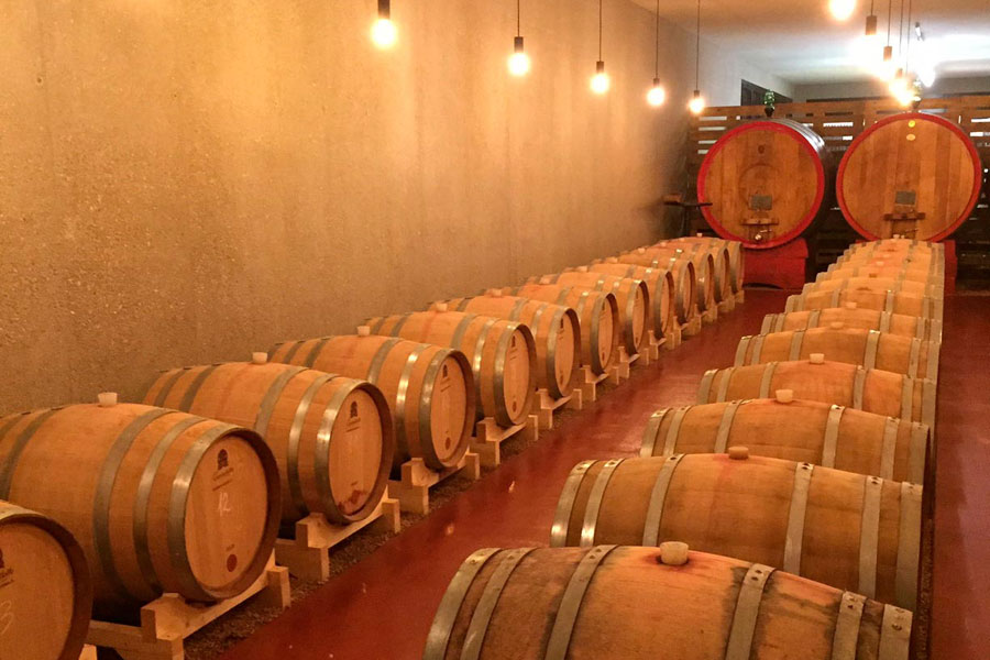 In der Pizzolato Weinkellerei reifen die feinen Weine für die Rapunzel Vinothek In der Pizzolato Weinkellerei reifen die feinen Weine für die Rapunzel Vinothek