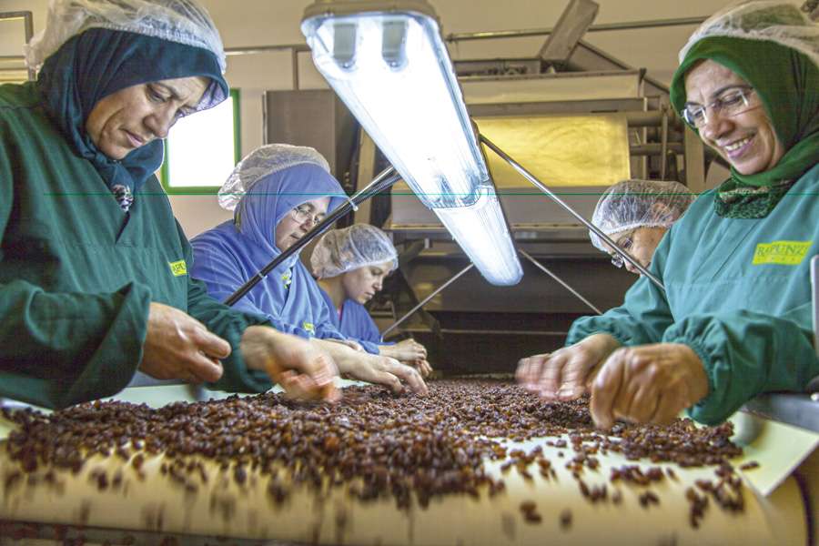 Sitzmöglichkeiten und gute Beleuchtung erleichtern die Arbeit für die Mitarbeiterinnen, welche die Sultaninen von Hand nachsortieren Sitzmöglichkeiten und gute Beleuchtung erleichtern die Arbeit für die Mitarbeiterinnen, welche die Sultaninen von Hand nachsortieren