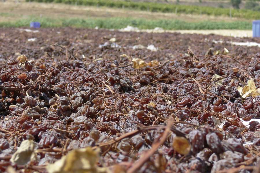 Die türkische Sonne sorgt für eine gleichmäßige und schnelle Trocknung Die türkische Sonne sorgt für eine gleichmäßige und schnelle Trocknung