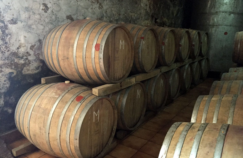 Der Rotwein wird ein Jahr lang in Eichenfässern ausgebaut. Der Rotwein wird ein Jahr lang in Eichenfässern ausgebaut.