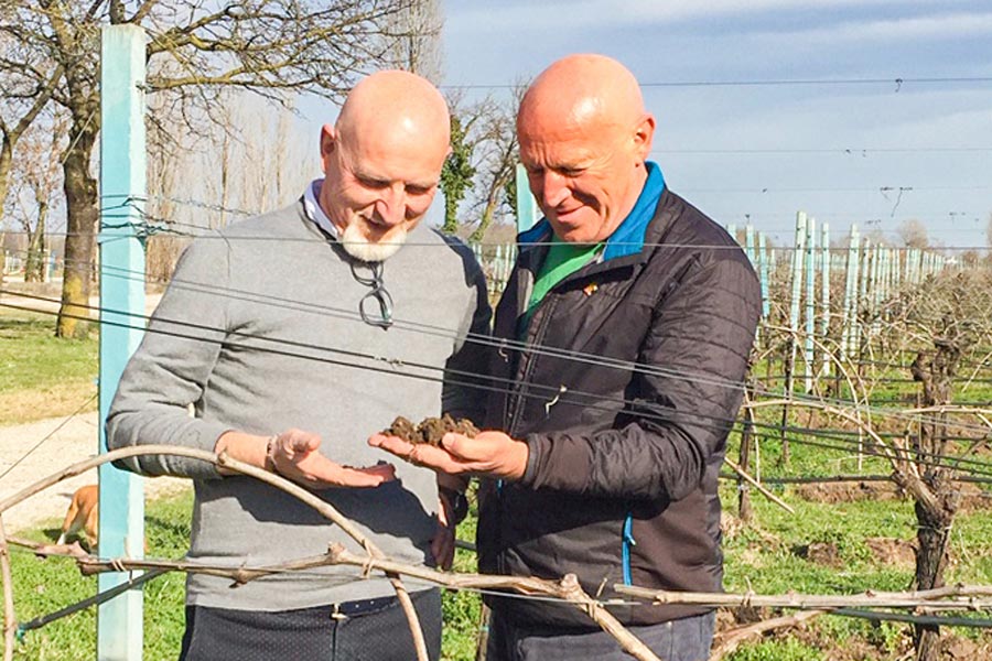 Joseph Wilhelm (right) and Settimo Pizzolato examine the fertile soil of the vineyards.