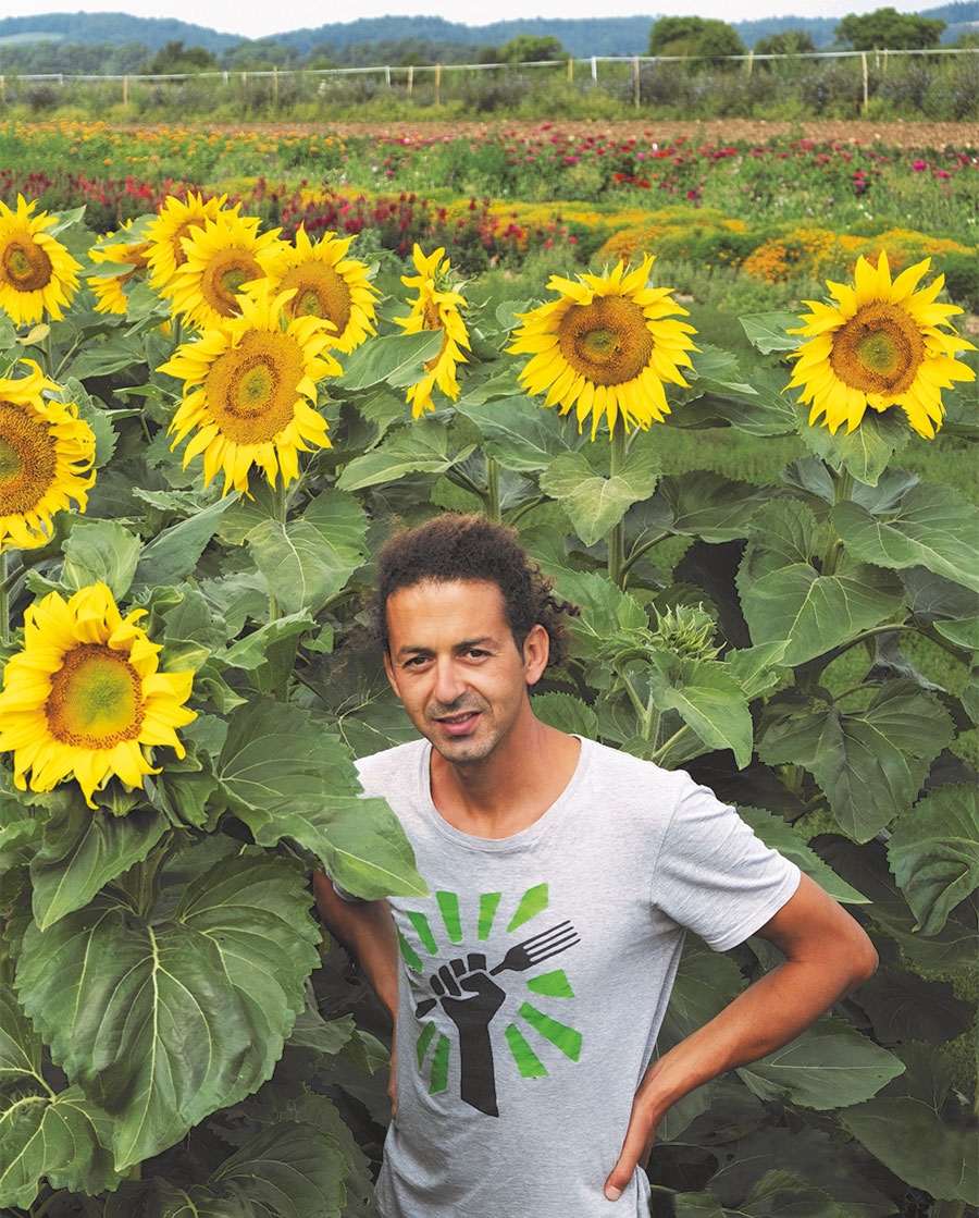 Bio-Züchter Fadi Kanso von Sativa Rheinau über die Züchtung der neuen Bio-Sonnenblumensorten