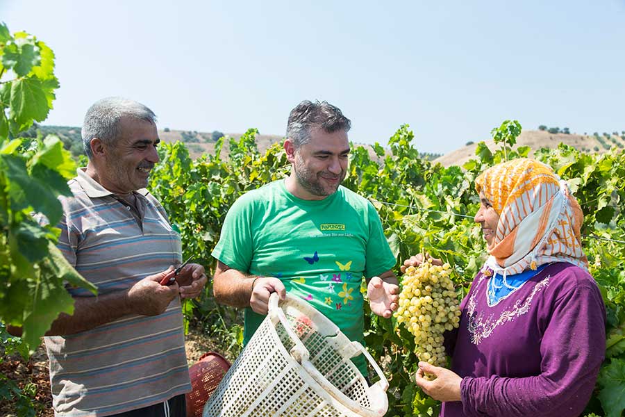 Emrah Dağdeviren (center), agricultural project director at Rapunzel Turkey, talks with Nuri Sezen and his helper, Senay Pekkara, about this year's developments