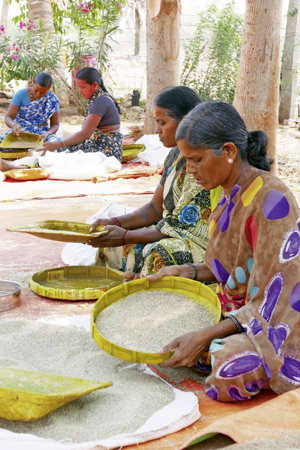 Handarbeit in Timbaktu: Frauen reinigen Hülsenfrüchte von Steinen und Unkraut. Handarbeit in Timbaktu: Frauen reinigen Hülsenfrüchte von Steinen und Unkraut.