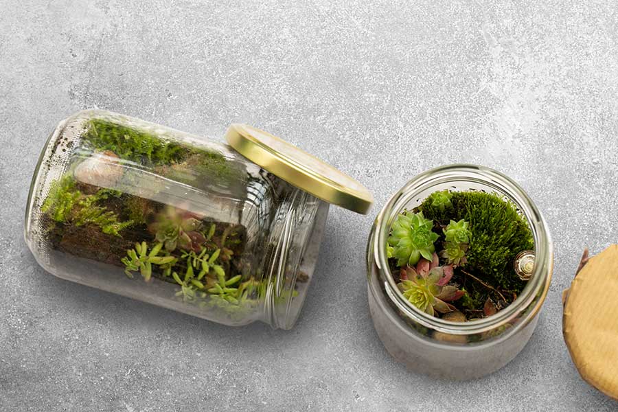 Upcycling Upcycling