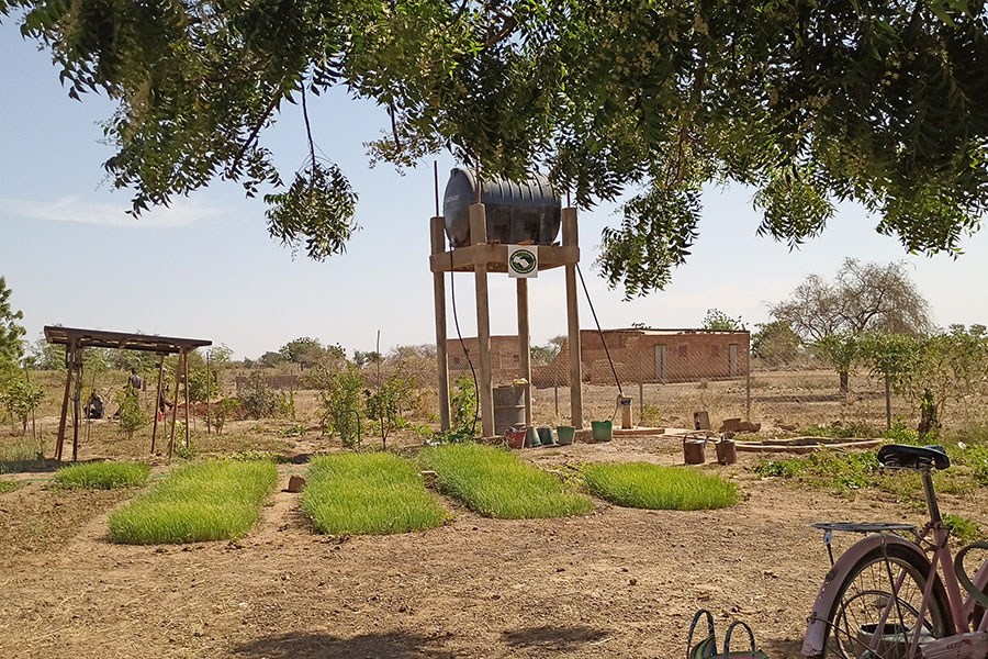 Burkina Faso: a well allows a women's group the cultivation of vegetables