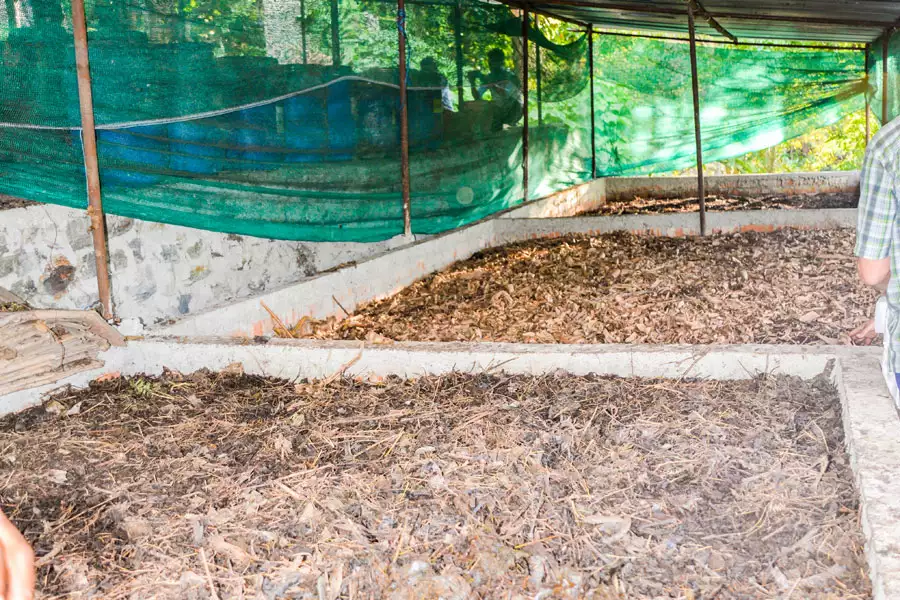 Die Bio-Bauern in Sikkim sind wahre Spezialisten für fruchtbaren Wurm-Kompost.